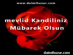 Mevlid Kandiliniz Mbarek Olsun 11.12.2016